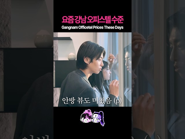 강남 하이엔드 오피스텔의 현실