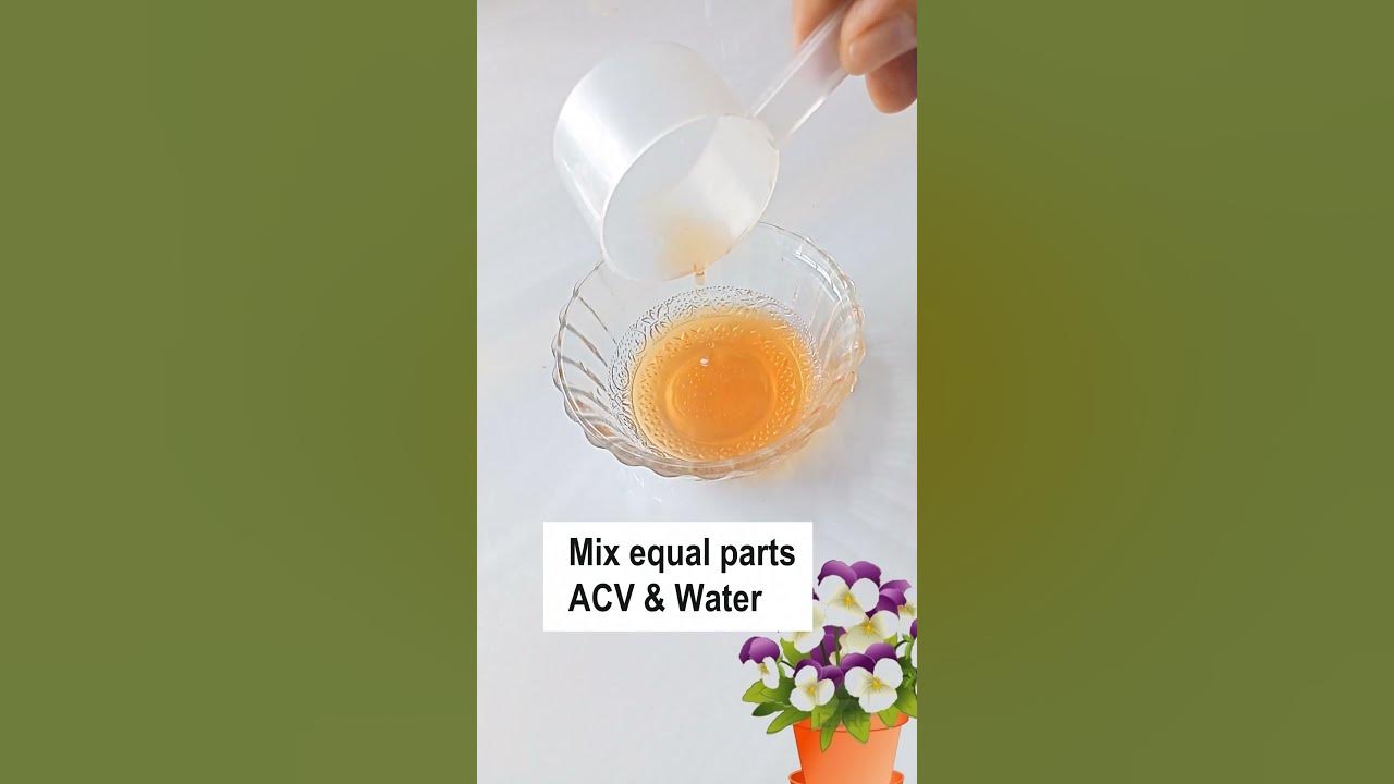 Apple Cider Vinegar For Hyperpigmentation Remove Dark Spots & Acne