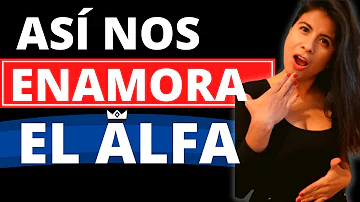 ¿Qué enamora a un macho alfa?