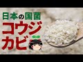 【ゆっくり解説】万能薬「麹」がもたらす効果