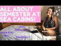 Your Guide to Semester at Sea Cabins! Differences in Prices & Tips for Moving In! What's Provided?