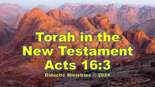 Torah in the New Testament: Acts 16:3 Paul Circumcised Him