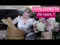 УВАЖАЕМЫЙ КЛУБ ПЛЕТУНОВ! ОБЩИЙ СБОР! МЫ НАЧИНАЕМ!