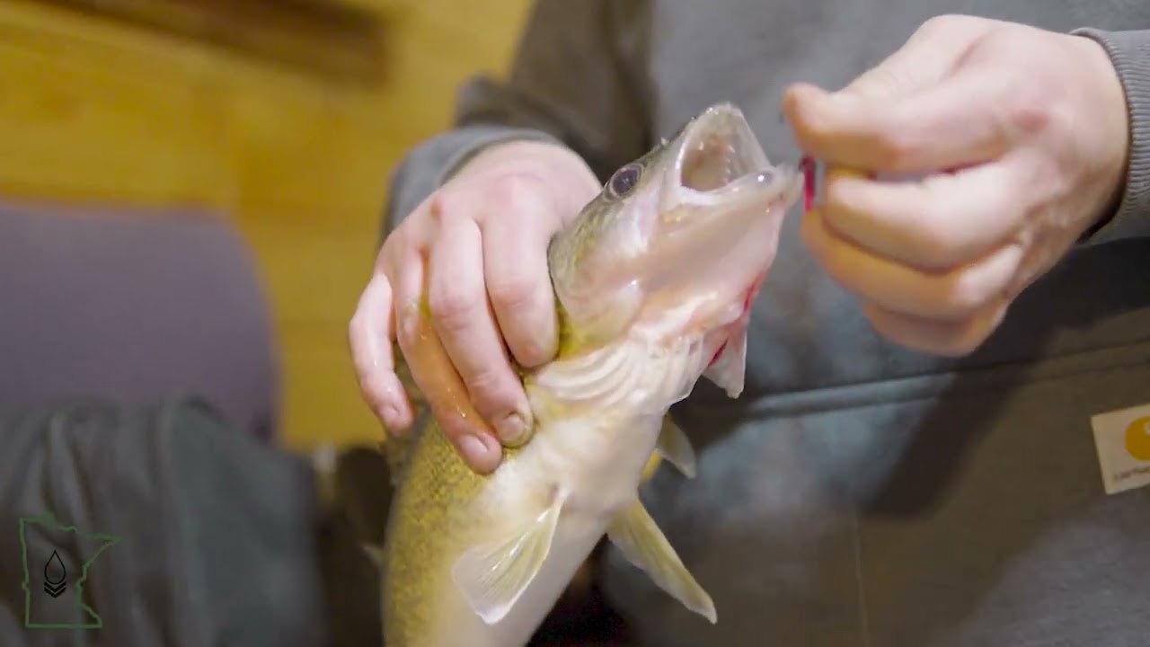 PingLive MINI - ACCUPHY - Battery and Transducer Pole Setup