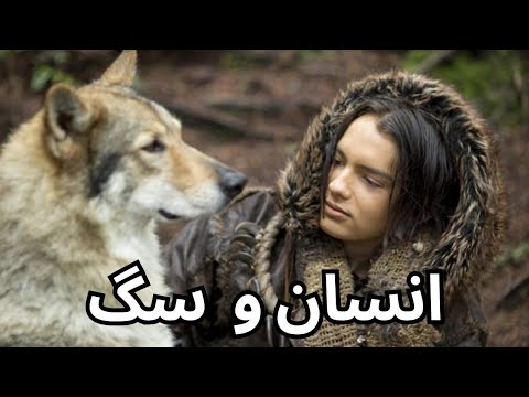 تاریخچه اشنایی انسان و سگ