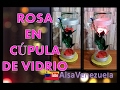 Rosa Encantada En Cúpula de vidrio | AisaVenezuela