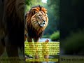 Lion Rabbit Story | Short Story | Story | Hindi Story | Moral Story | Educational Story #shorts