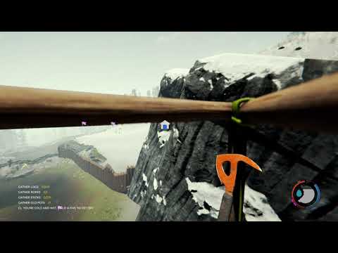 The Forest - The crane