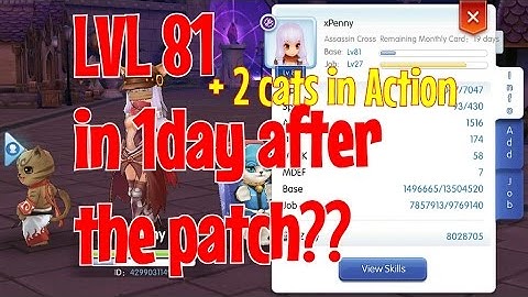 Ragnarok Mobile: Level up faster with these simple tips!