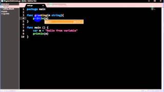golang 107 func with parameter