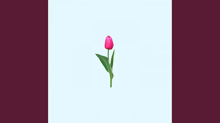 Cicada - DayDayNews