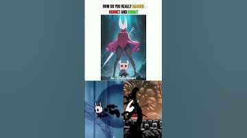 How Do You Actually Imagine of Hornet and the Knigh