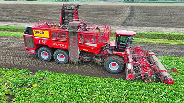 12 row Sugarbeet Harvest | Holmer T4-40 | Fendt Tractors | Hack Harvest