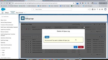 Salesforce Debug Helper (Apex Log Deletion Function)