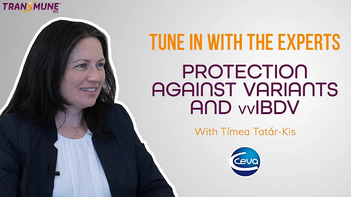 Protection Gumboro Disease in Poultry, against Variants and vvIBDV (with Tímea Tatár-Kis)