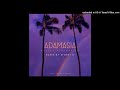 Stoney b  adamasia cover official audio