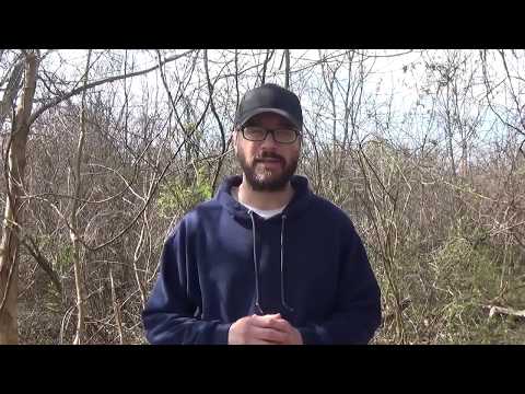 Overcoming a Lack of Motivation in your Plein Air Painting : An Art Musing by Kyle Buckland