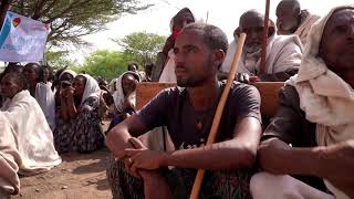 After War Hunger Stalks Ethiopias Tigray