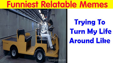 50 Funny Posts That Show Humanity Shares One Collective Brain Cell