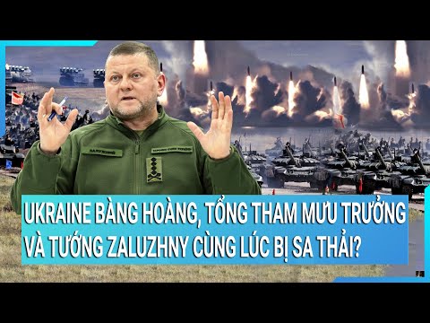 Video: Alexander Rogov - nhà tạo mẫu trong thế giới thời trang