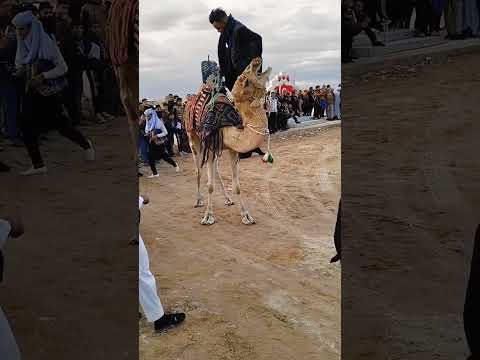 أفراح وادي سوف 2024
