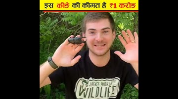 इस कीड़े की कीमत है ₹1 करोड़ | Stag Beetle Pet | Expensive Insect | #shorts #hpfacts