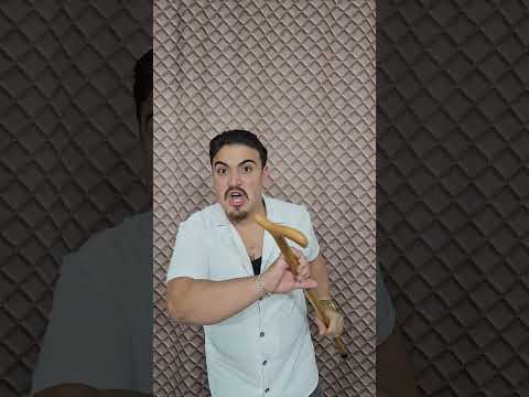      رقص القطط القط المضحك قطة كيوت