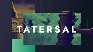 [AO VIVO] TATERSAL | 19/05/2026 – 12H45