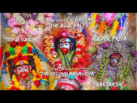 Shri Tara Tandav Stotram ft, Maa Tara & Maa Sita... HBD @RukminiRadha-p9st!!💝 #tara #sita