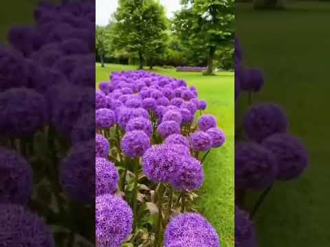 منتزه مونزا     رايكم فيه منشن من تتمنى يكون معك هالاجواء التفاصيل هنا