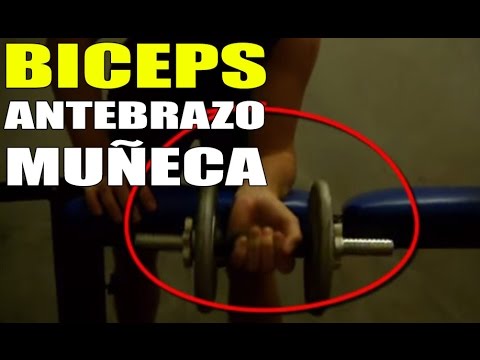 ejercicios gestation acrecentar antebrazo y muñeca