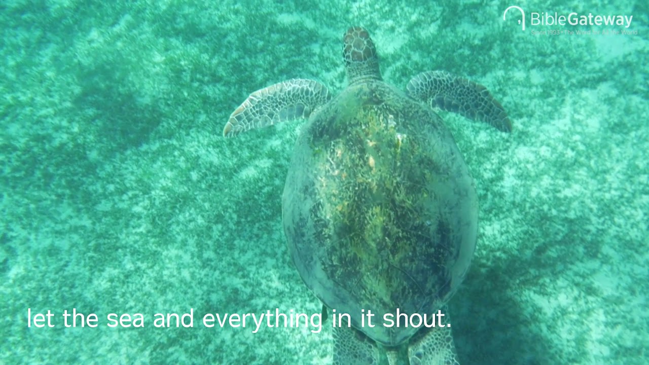 bible-verse-psalm-96-11-12-youtube