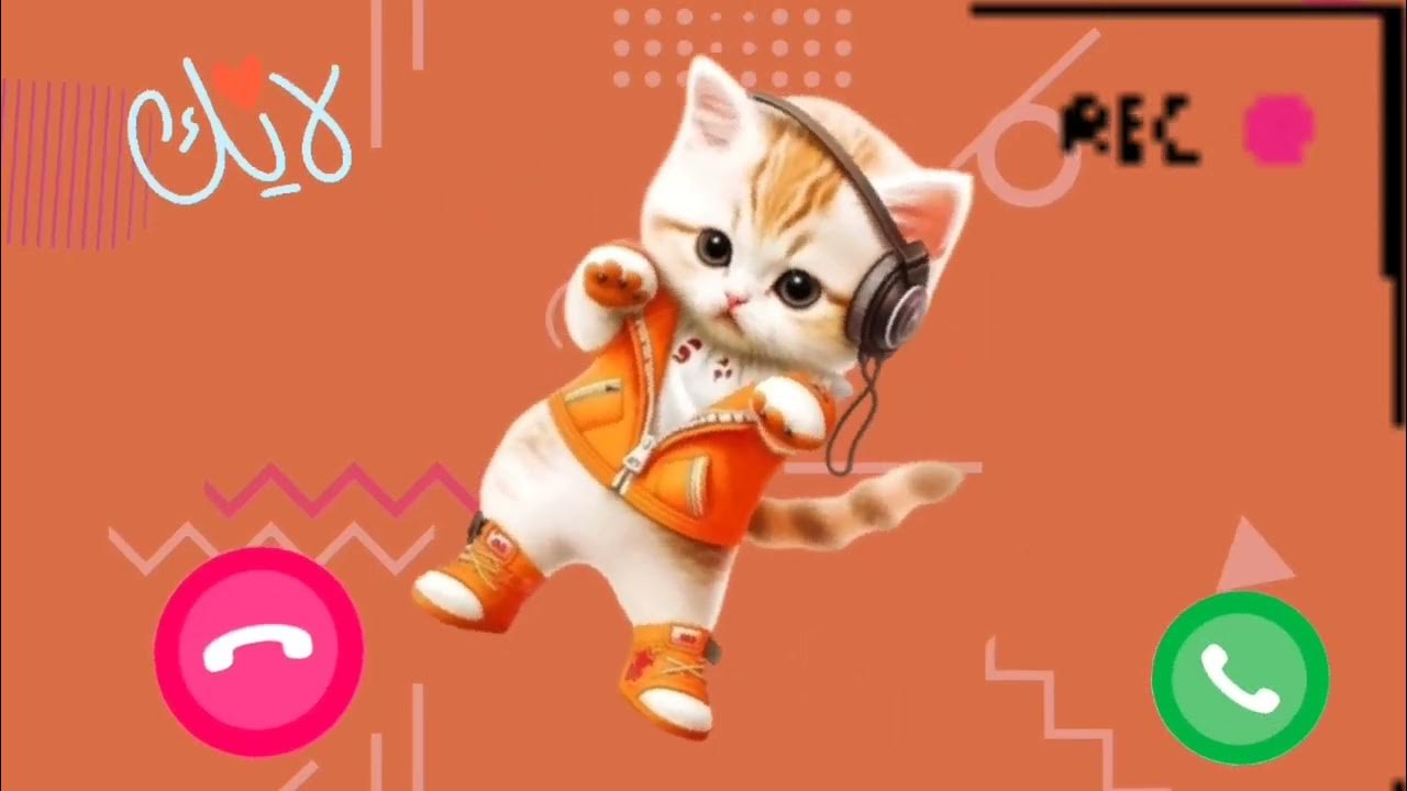 Cats 📞 Apple ringtone 2024 // iphone 15 YouTube