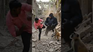 Man vs Gorilla Attack with Monkey – Jungle War!//Gorilla Attack aur Monkey ka Saath – Man in Danger!