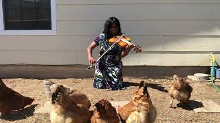 My Chickens React to Irish Fiddle Music