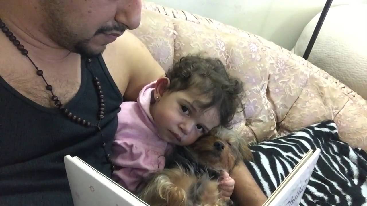 Beba y cachorro se quedan dormidos mientras les leen un cuento - YouTube