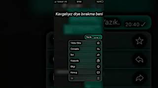 Bana Verdiğin Sevgi Zaten Hep Yalanmış Deniz