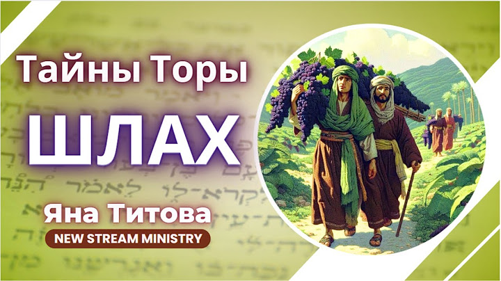 Недельный разбор Торы Шлах Яна Титова NSM