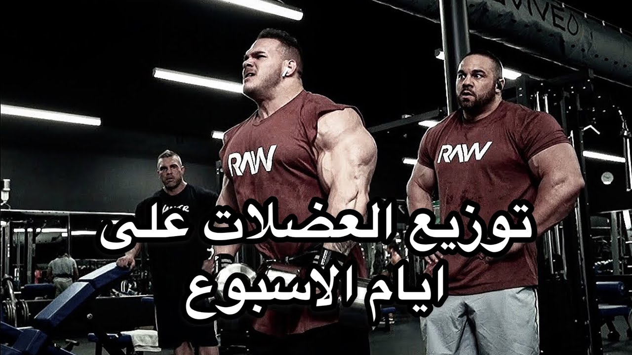 كم مرة تمرن العضلة أسبوعيًا ؟