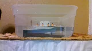 titanic model sink