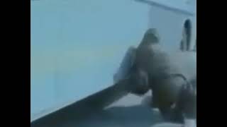 Bu Bana Yapilirmi Be