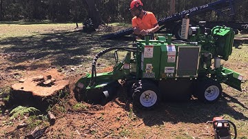 Bandit 2550XP stump grinder cutter with Greenteeth - FAST grinding!