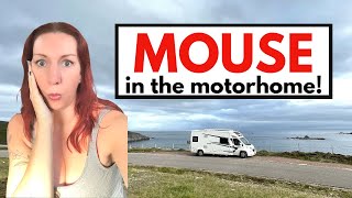 Unwanted Guests & 2024 plans (PLUS YOUR questions answered) by Wandering Bird Motorhome Adventures 5,312 views 4 months ago 21 minutes