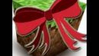 MINECRAFT GIVEAWAY - The Winners are....