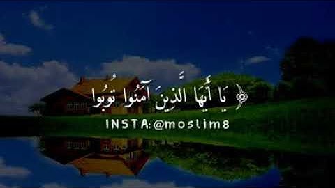 القارئ اسلام صبحي {يآ ايها الذين آمنوا توبوا الى الله توبة نصوحا♥👑}