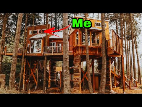 Curated visual reference: Fresh Look at Off Grid Luxury Tree House Overnight Bush Craft