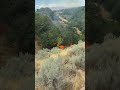 Sandy officials respond to fourth wildfire of season in Dimple Dell Park