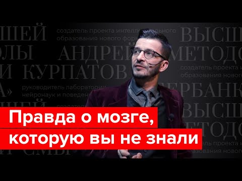 Правда о мозге для интеллектуального меньшинства