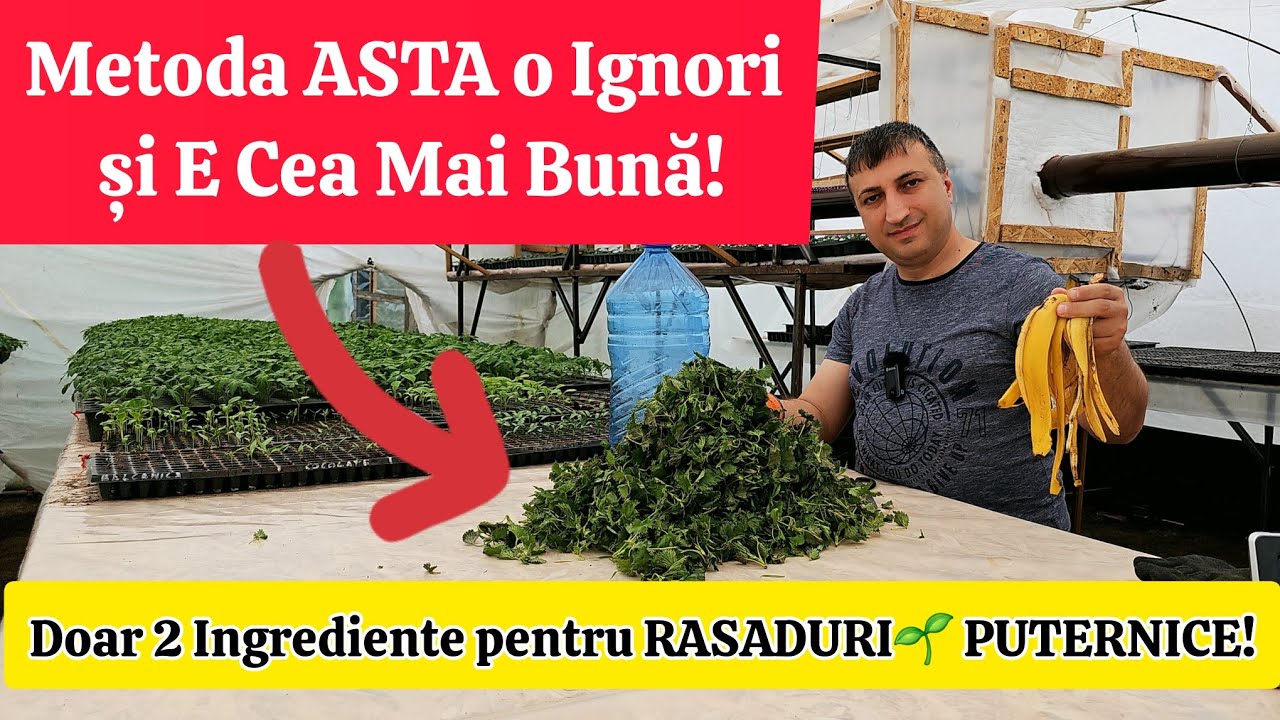 Asta Schimbă Totul pentru Răsadurile🌱 Tale! Nu Vei Crede Cât de Simplu Este!