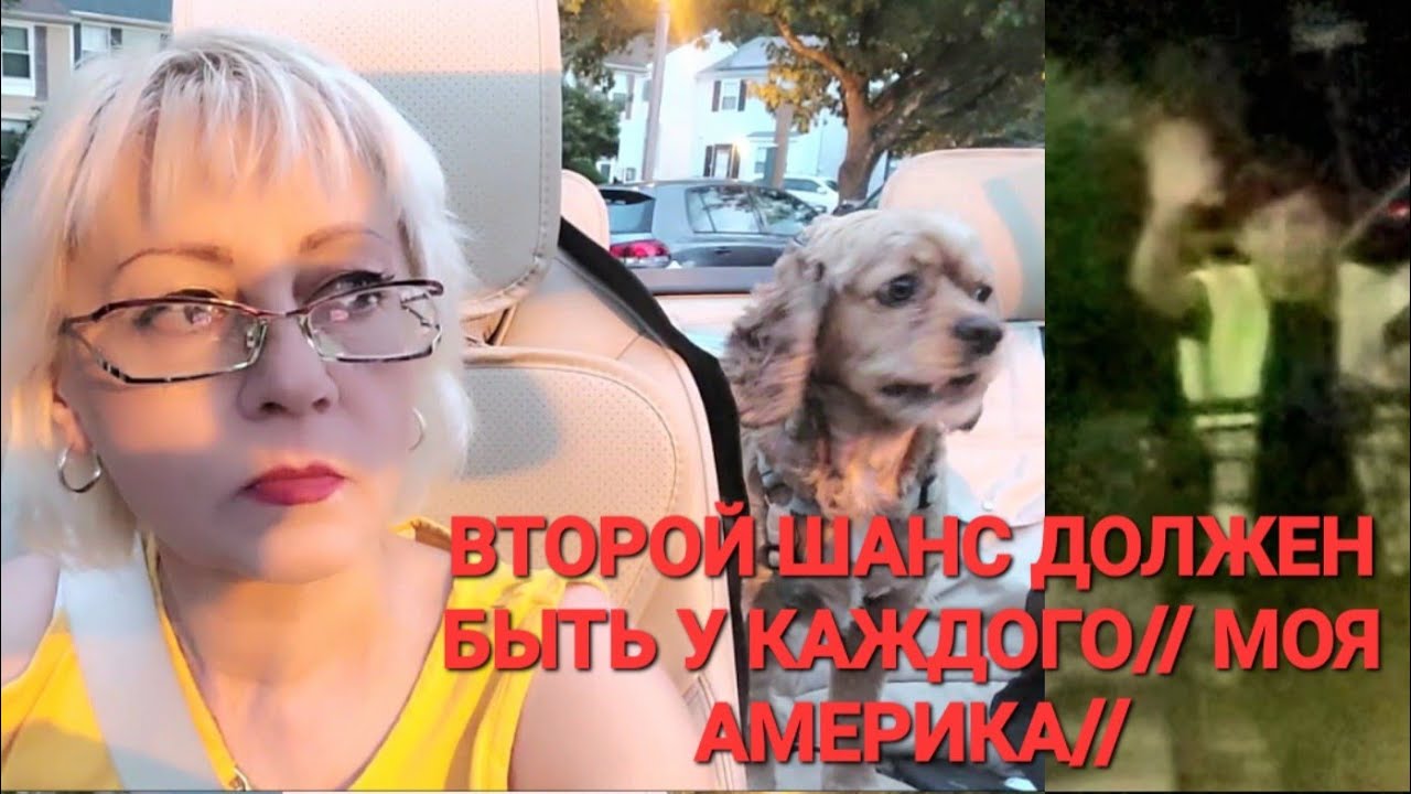 ПСИХУЮ-США//МУЖ ОПЯТЬ ПОСЛАЛ//ЧЕЛОВЕЧЕСКИЕ ЦЕННОСТИ-КУДА ВСЕ ДЕЛОСЬ ...